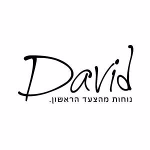 David Shoes Logo