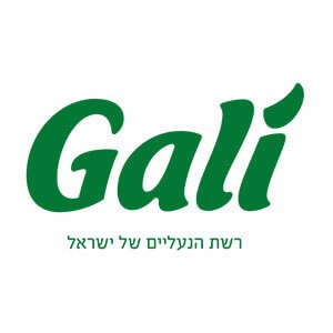 Gali Logo