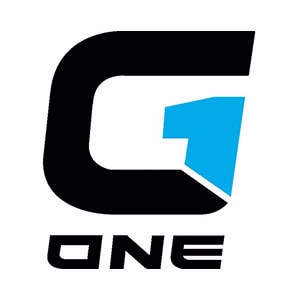   g1-group Logo